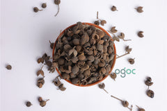 Sarva Sugandhi Triphala - A Powerful Ayurvedic Blend for Digestive Health and Immune Support| OGOC