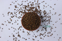 Cassia Tora Chakramard Seeds -thakaram Thakara Senna, Wild senna-plant Seeds for Herbal Uses| OGOC