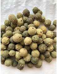 Masikkai Oak Gall Seeds - Quercus Infectoria Seeds for Natural Remedies & Crafts| OGOC