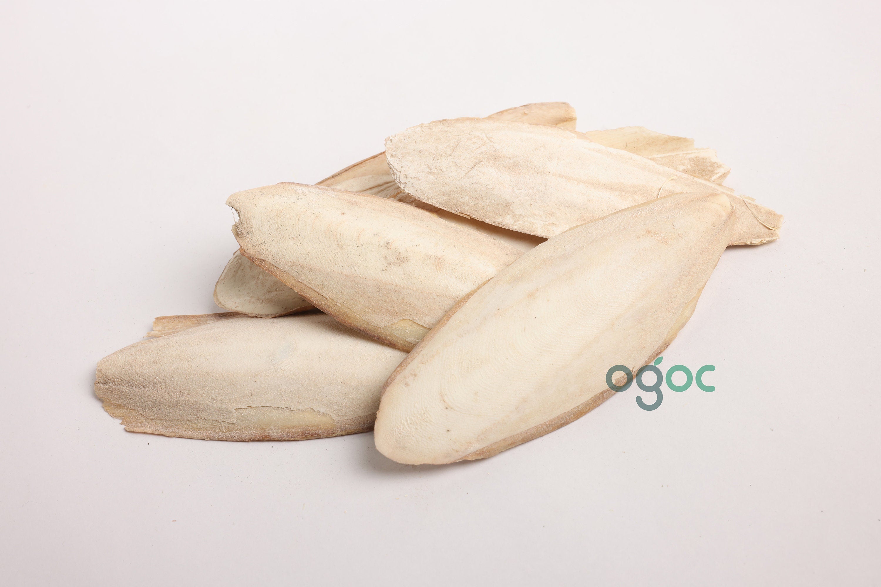 Cuttlebone (Kadal Nakku) RAW Natural Calcium Source for Birds Cuttle fish Bone Calcium Ideal Minerals | Beach Finds | Bird Feed| OGOC