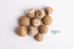 FRESH ORGANIC Nacrufal Areca Nut | Catechu (Betel nut) | Fresh Natural Areca spices from God's own country Kerala| OGOC