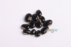 velvet beans seeds - drift seed, monkey tamarind, velvet bean, Bengal velvet bean, Florida velvet bean, Mauritius velvet bean, Yokohama bean