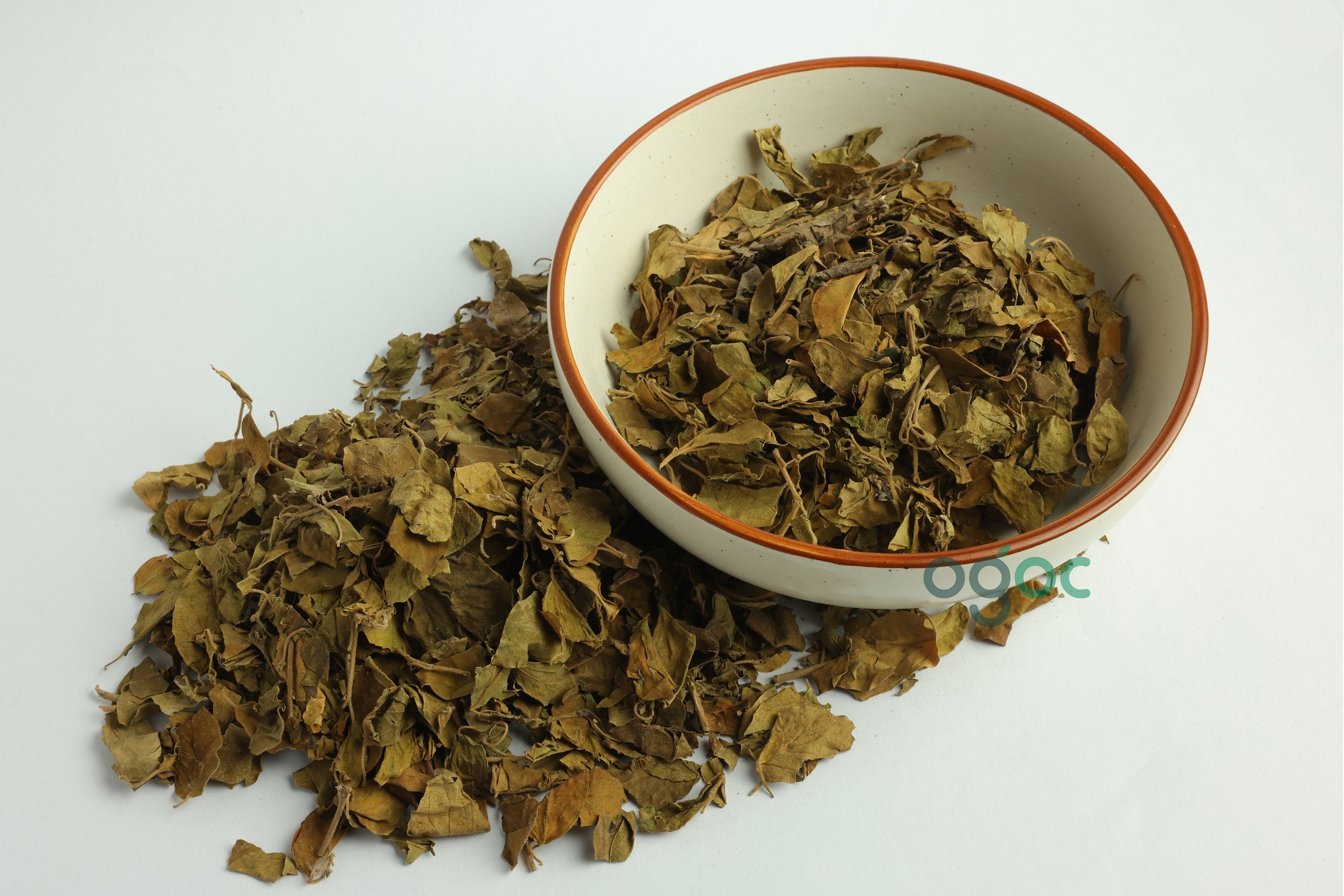 Chakkarakolli - Gymnema sylvestre Dried leaves | Medicinal Herb for Herbal Use ,gurmar sugar destroyer, madhunashini.| OGOC