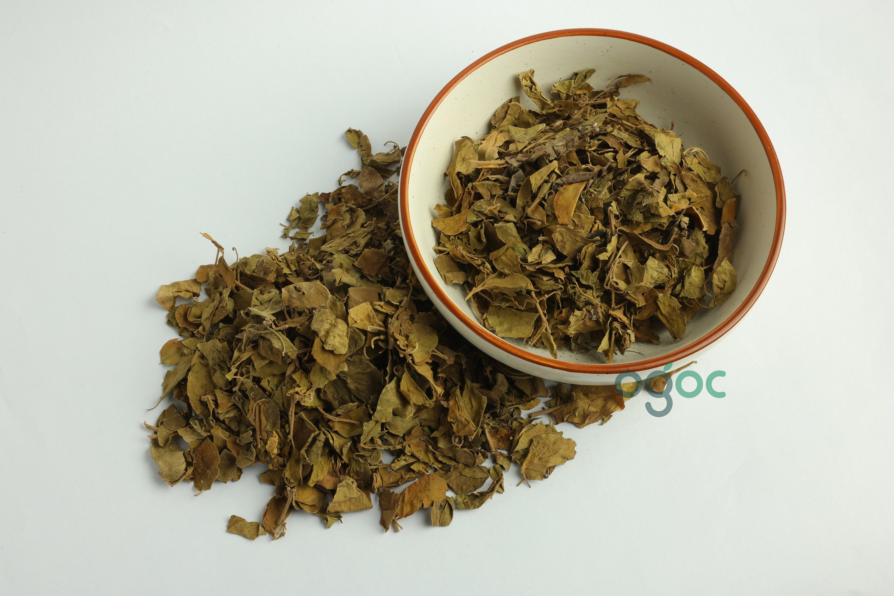 Chakkarakolli - Gymnema sylvestre Dried leaves | Medicinal Herb for Herbal Use ,gurmar sugar destroyer, madhunashini.| OGOC