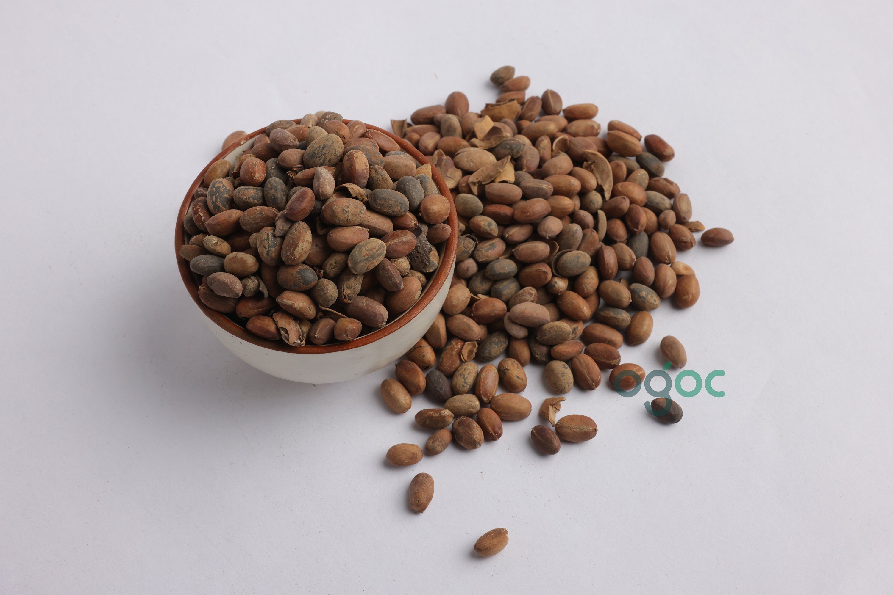 lavender croton seeds Croton Penduliflorus Seeds Neervalam Jamalgota Seeds (Croton tiglium) Purging Croton Seeds Raw Herb Natural Ingredient Premium Quality Whole Seeds