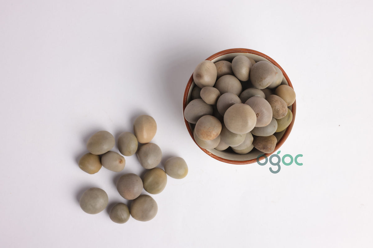 KALARCHIKAI Seeds | Fever Nut | Caesalpinia bonduc, Tradition & Wellness| OGOC