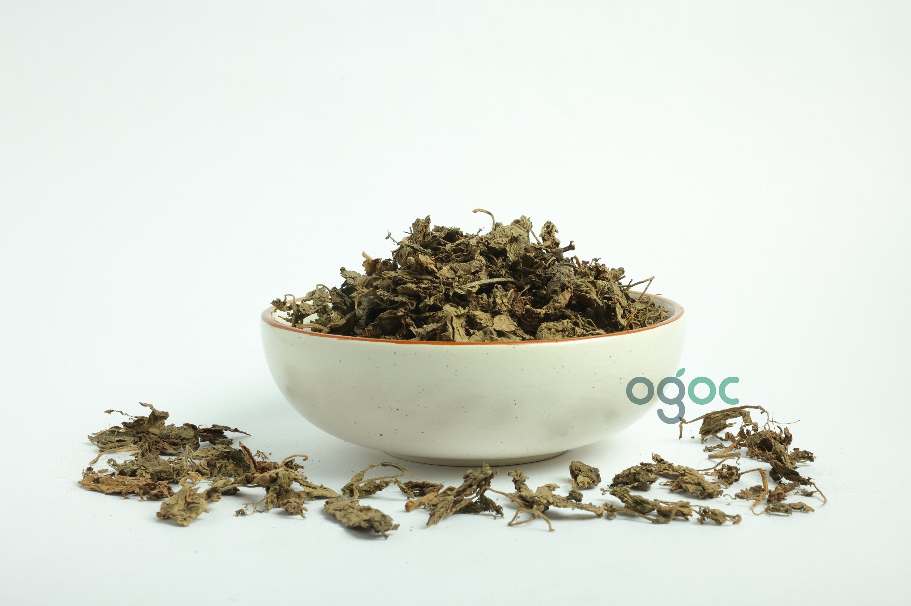 Pachila (Patchouli Leaves) - Pogostemon cablin, Aromatic Herb for Aromatherapy & Crafting"| OGOC