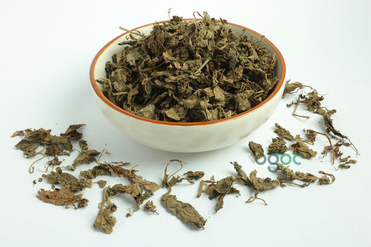 Pachila (Patchouli Leaves) - Pogostemon cablin, Aromatic Herb for Aromatherapy & Crafting"| OGOC