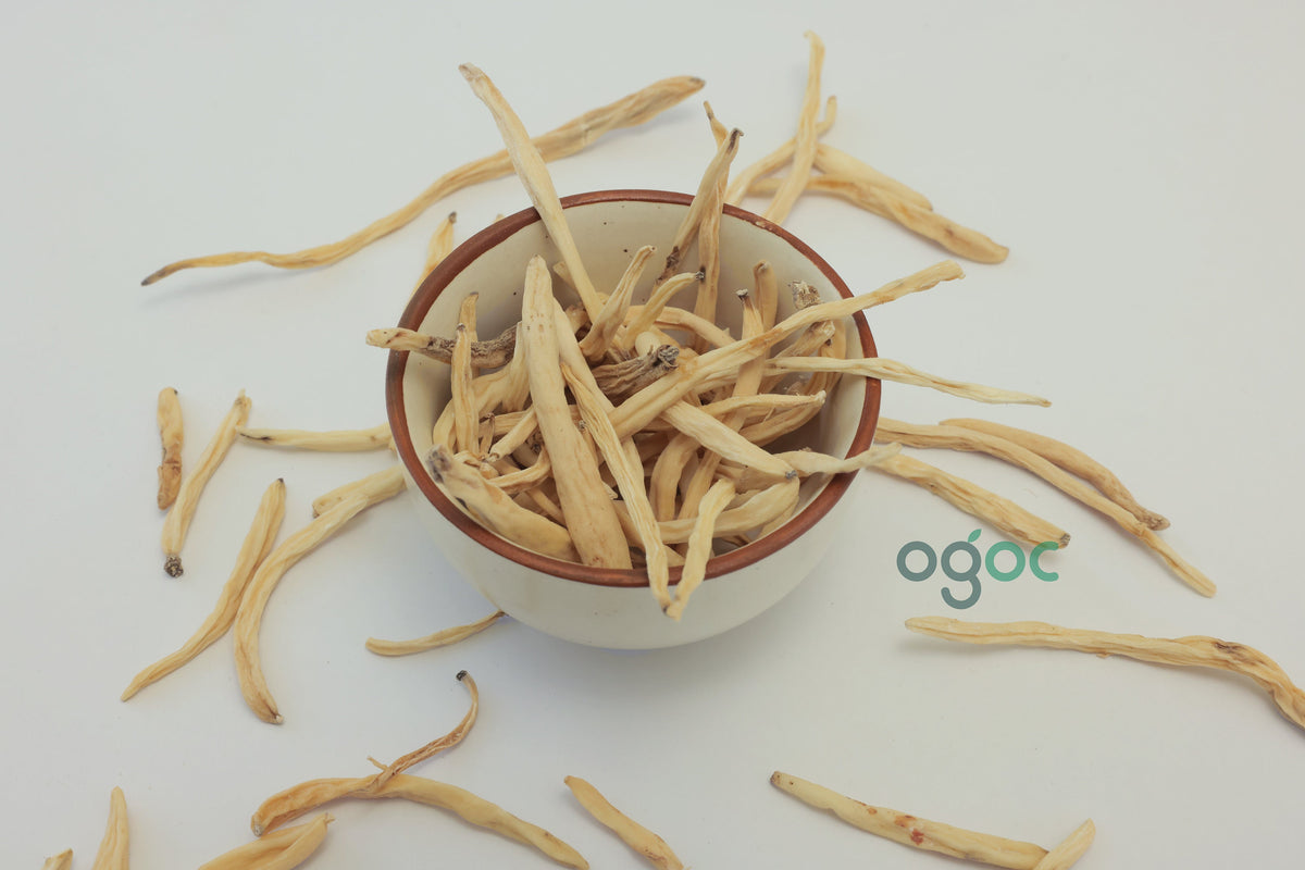 Safed Musli - Organic Herbal Supplement for Vitality & Wellness| OGOC