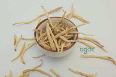 Safed Musli - Organic Herbal Supplement for Vitality & Wellness| OGOC