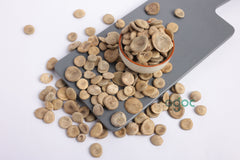 Organic Kuchla Seeds (Strychnos Nux-vomica) - Kanjira kuru Kuchla Seeds Nux Vomica Seed Seeds for Traditional Use| OGOC