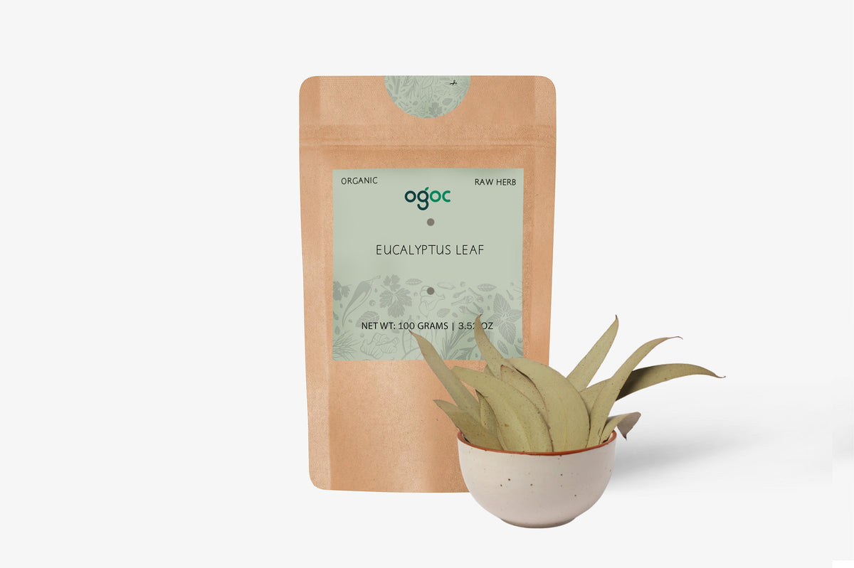 Dried Eucalyptus Leaves – Natural Herbal Leaves for Aromatherapy & Decor | OGOC