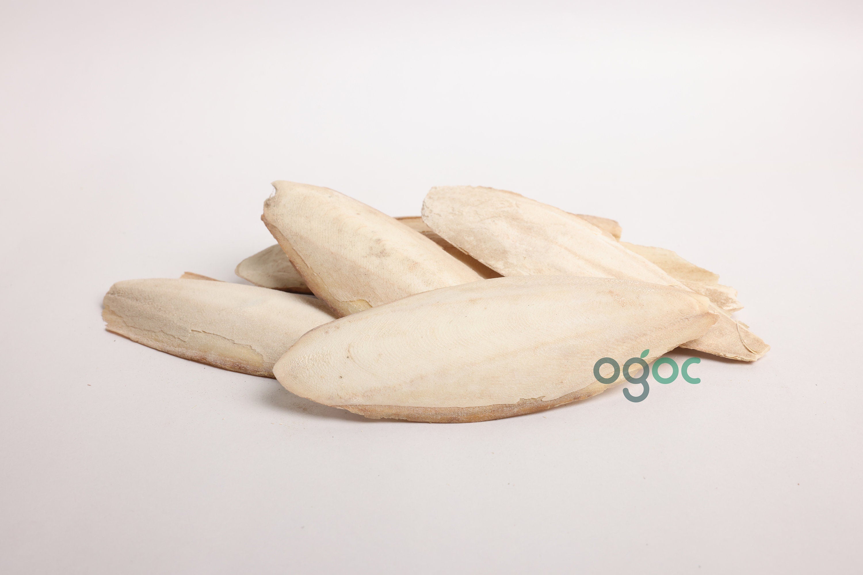 Cuttlebone (Kadal Nakku) RAW Natural Calcium Source for Birds Cuttle fish Bone Calcium Ideal Minerals | Beach Finds | Bird Feed| OGOC