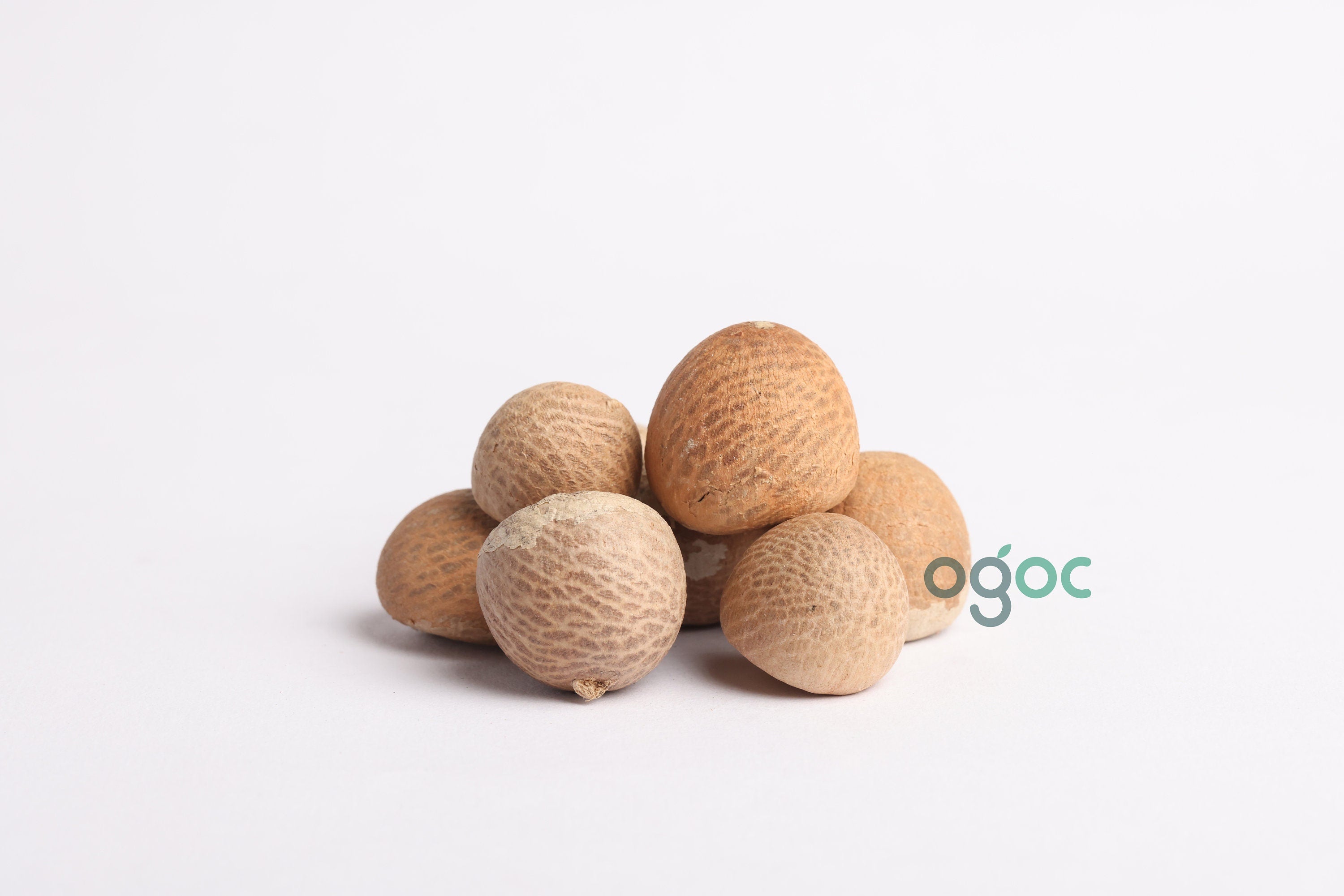 FRESH ORGANIC Nacrufal Areca Nut | Catechu (Betel nut) | Fresh Natural Areca spices from God's own country Kerala| OGOC