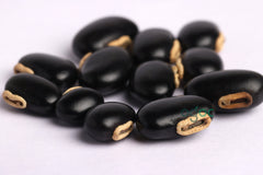 velvet beans seeds - drift seed, monkey tamarind, velvet bean, Bengal velvet bean, Florida velvet bean, Mauritius velvet bean, Yokohama bean