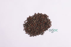 TITHONIA RED seeds - MEXICAN sunflower seeds,rotundifolia, sunflower family Asteraceae, ornamental plant, Flower seeds, Gardening plantation