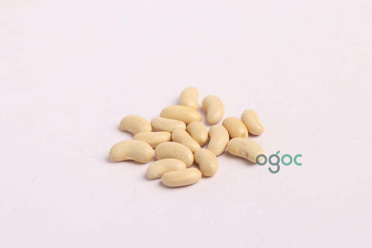 Organic Pole Beans seeds - Climber beans seeds, runner beans, vegetable seeds, kitchen plantation| OGOC