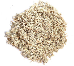 Mugwort Seeds - Indian Mugwort, Indian Wormwood, Artemisia Indica, Baranjasif, Manjipatri, Maipatri| OGOC