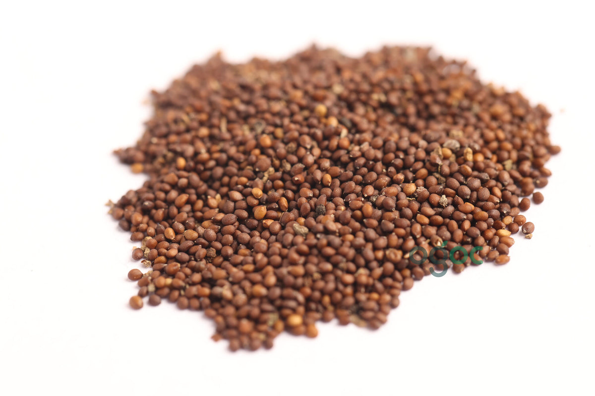 Tulasi Holy basil seeds - Pure Organic seeds| OGOC