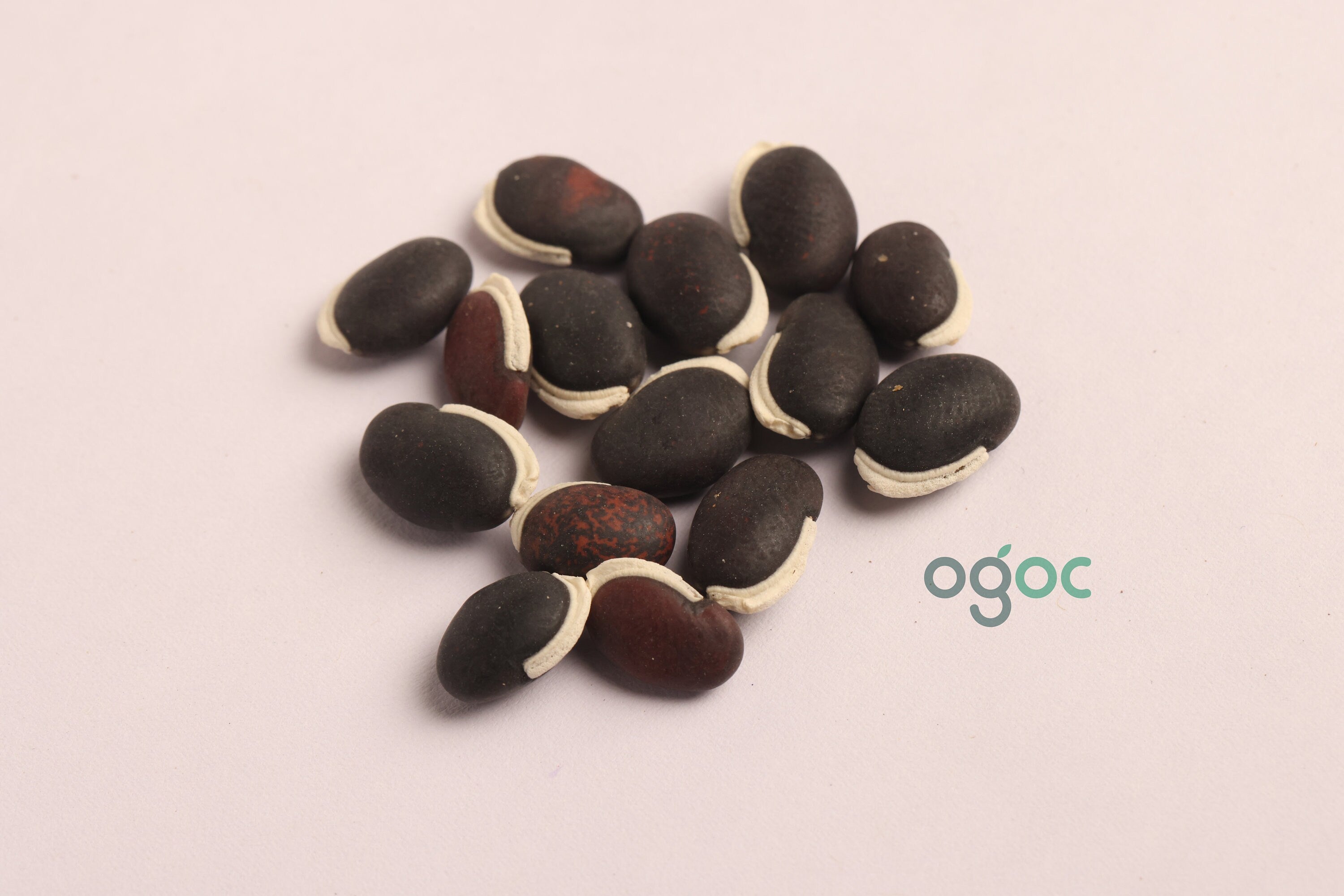 Hyacinth Bean seeds - shim, chhim, Indian beans, Lablab beans, Egyptian kidney beans, vegetable seeds, kitchen plantation| OGOC