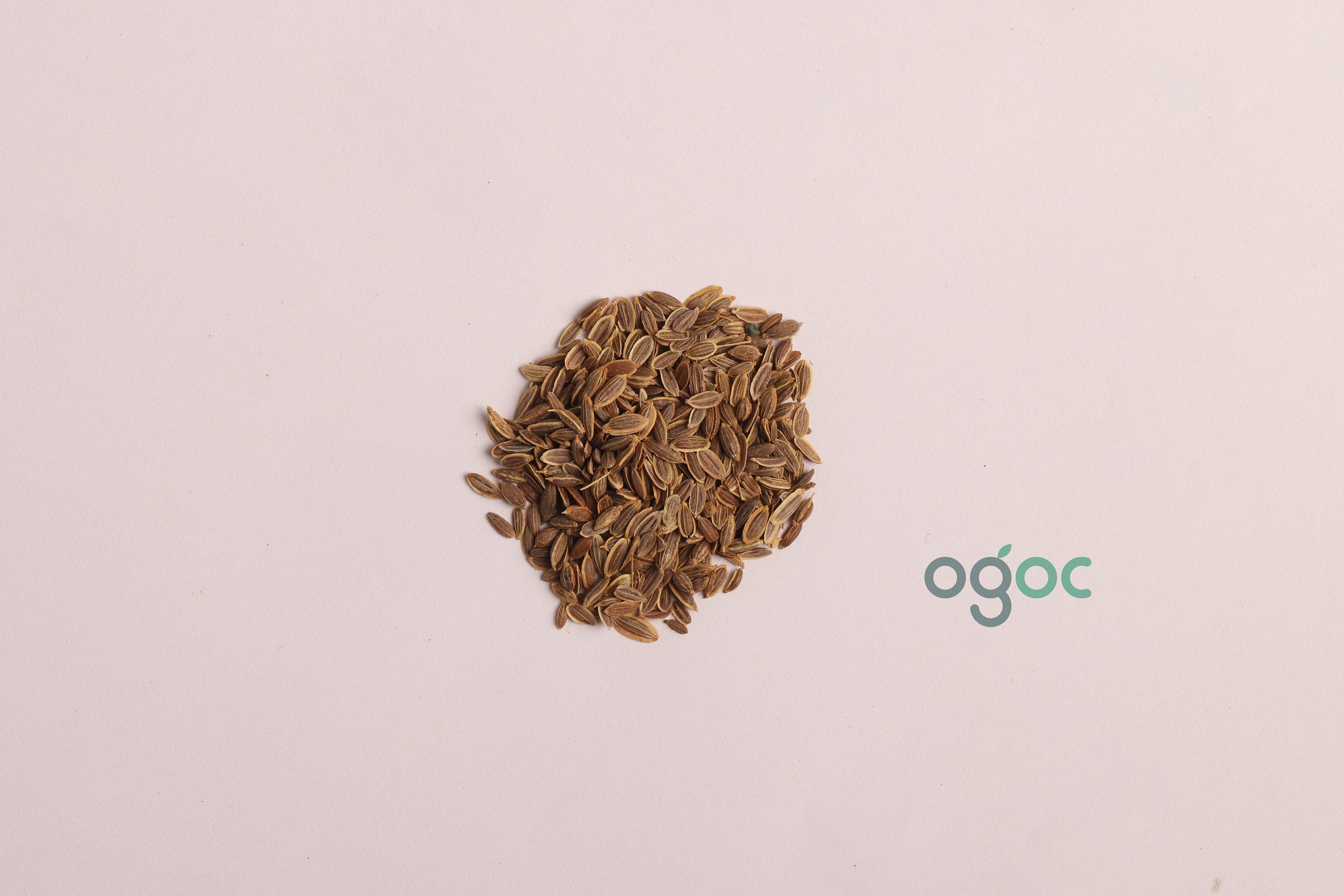 Dill seeds - Anethum graveolensis, Sowa, Soya Dillweed, Shatapushpa| OGOC