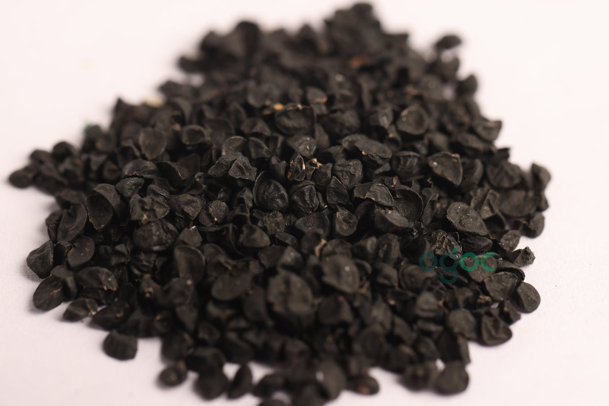 Red small Onion seeds -  purple onions, bulb onion, common onion, Kitchen plantation and Gardening seeds| OGOC