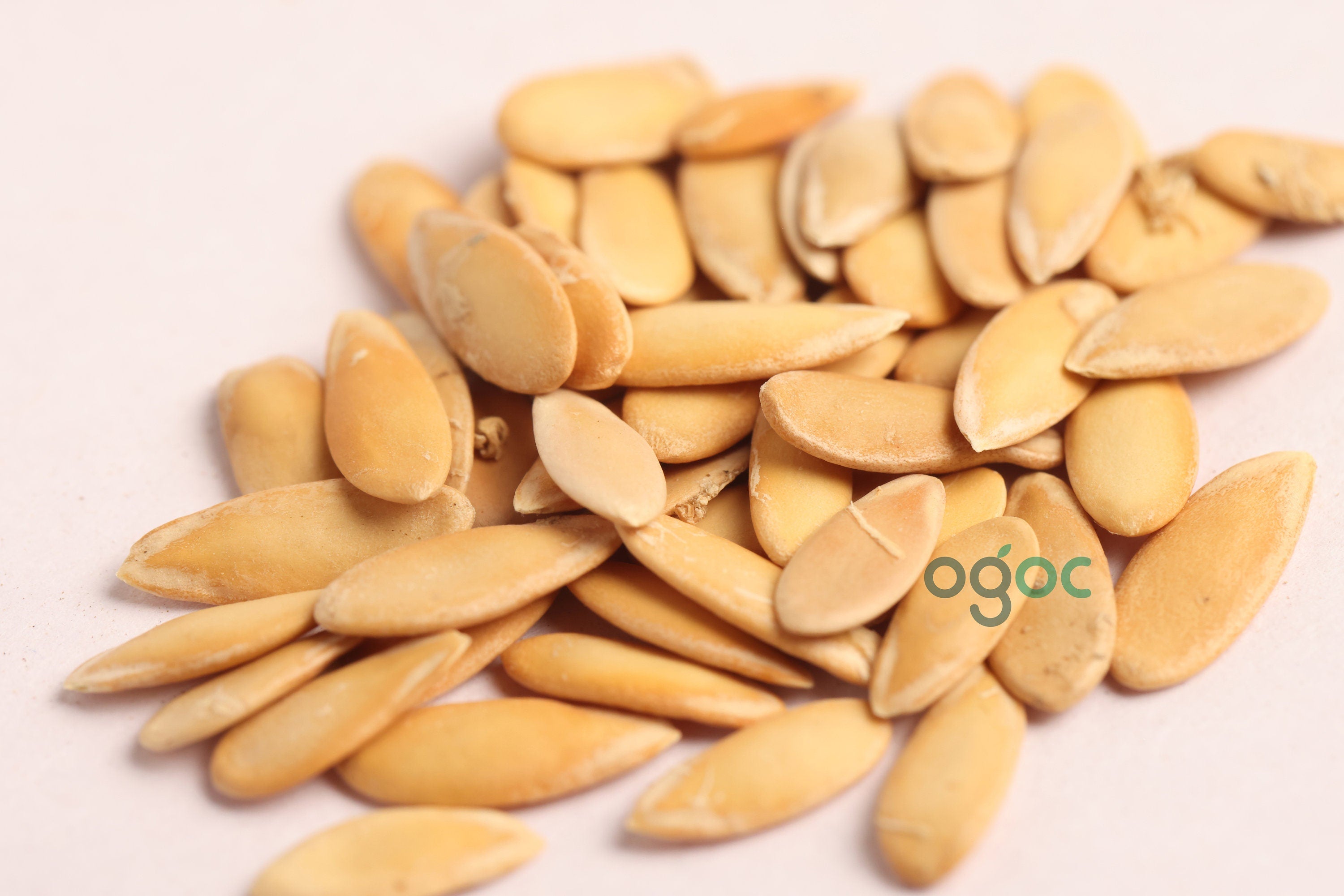 Organic Elongated Pumpkin Seeds - Vegetables Seeds | Kitchen plantation| OGOC