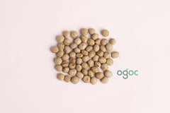 Turnip purple top white globe seeds - Turnip golden ball ( Heirloom), Brassica rapa, Vegetable seeds, Kitchen plantation| OGOC