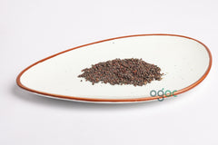 TITHONIA RED seeds - MEXICAN sunflower seeds,rotundifolia, sunflower family Asteraceae, ornamental plant, Flower seeds, Gardening plantation