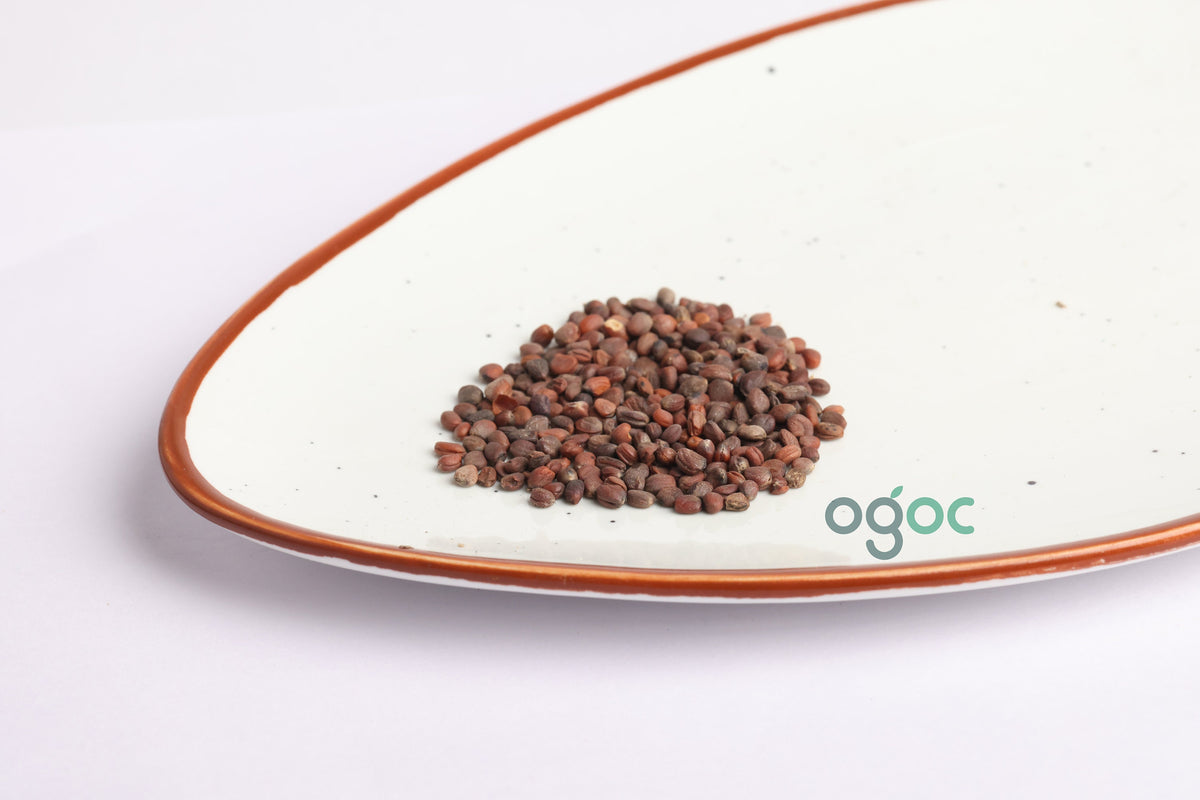 Radish Purple Sango Seeds - big root, daikon radish, white radish, winter radish, Oriental radish, long white radish, Fresh seeds| OGOC