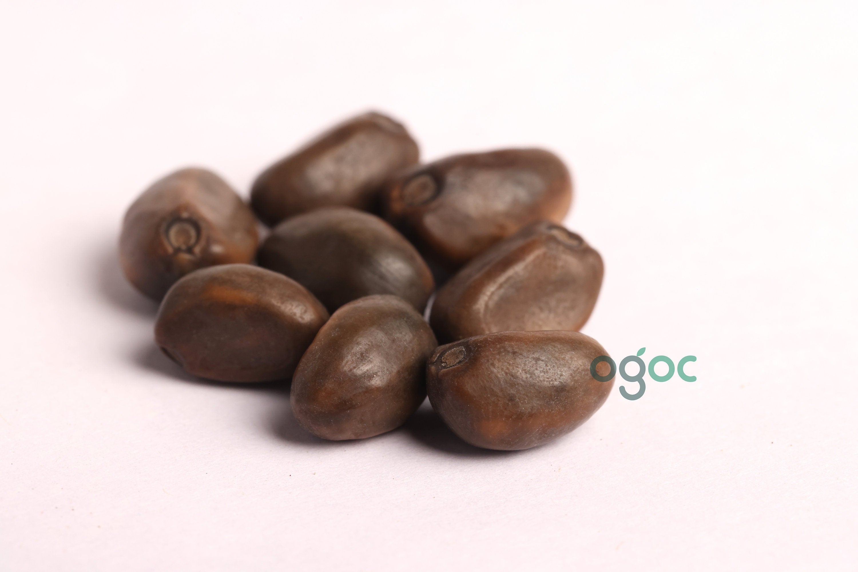 Clove beans green seeds - vegetable seeds, kitchen plantation, Nithya vazhuthana Seeds| OGOC