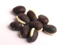 Broad beans seeds -  Field Bean, Faba Bean, Bell Bean, Tic Bean, vegetable seeds, kitchen plantation| OGOC