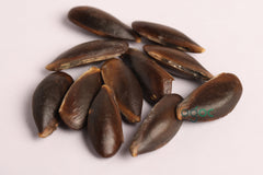 SAPOTA SWEET FRUIT Seeds | Chiku Hybrid Fruit, Sabeda, Chikoo | Natural breads | Ex Rare Seeds from Godsowncountry | Organic Farm Seeds.