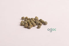 Green short okra seeds - open pollinated seeds Bhindi (Okra), Vegetable Seeds, kitchen plantation| OGOC