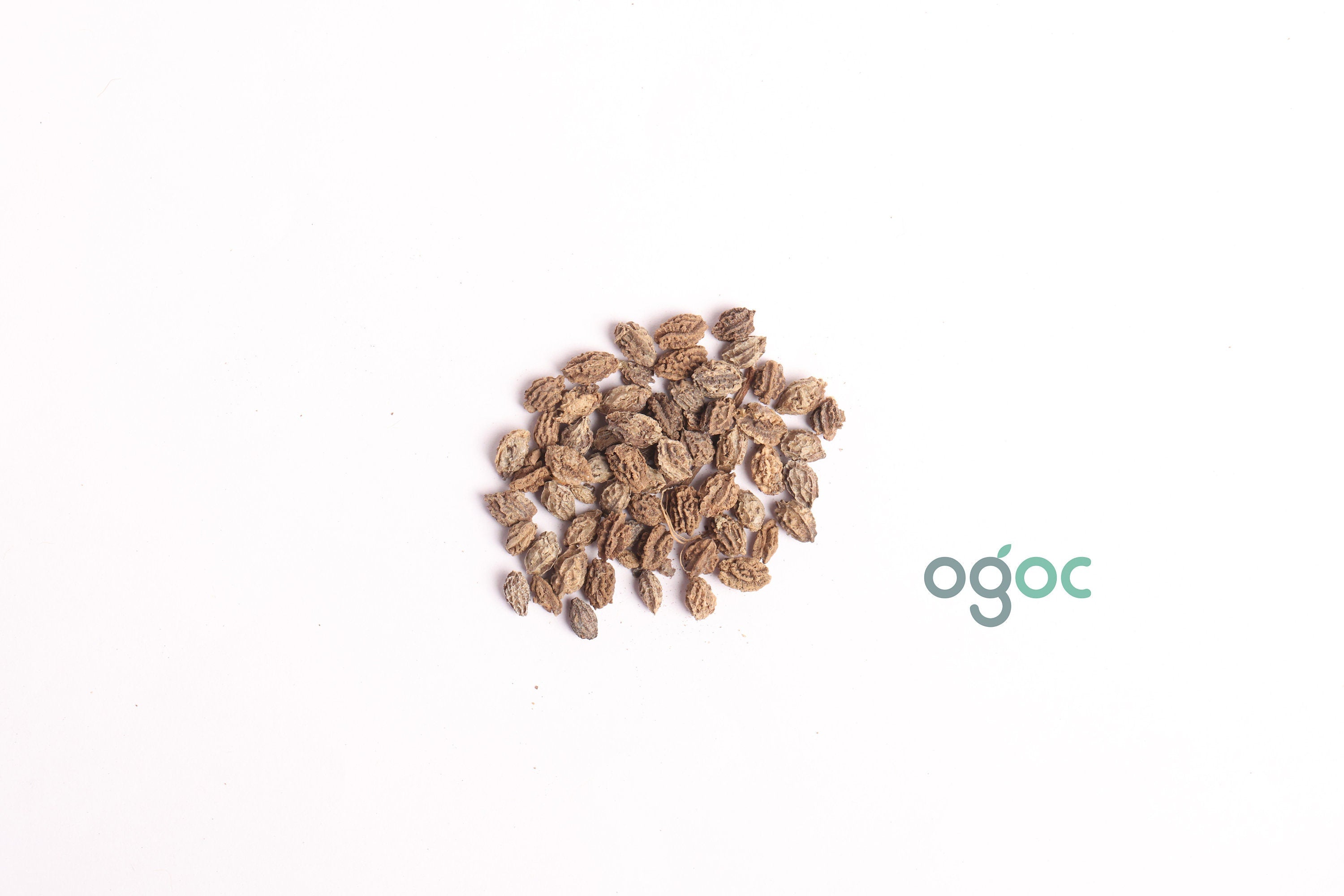 Organic Papaya Seeds for Growing Papaya Trees| OGOC