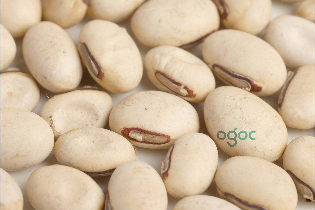 Sword beans seeds - Indian Heirloom seeds, Canavalia gladiata, scimitar bean| OGOC