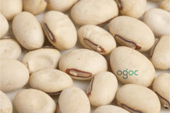 Sword beans seeds - Indian Heirloom seeds, Canavalia gladiata, scimitar bean| OGOC