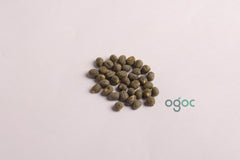 Kasturi venda - Abelmoschus moschatus, Kasturi okra seeds, Heirloom seeds, bhindi, Vegetable Seeds, kitchen planation| OGOC