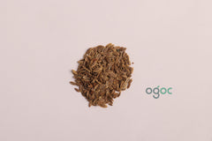 Dill seeds - Anethum graveolensis, Sowa, Soya Dillweed, Shatapushpa| OGOC