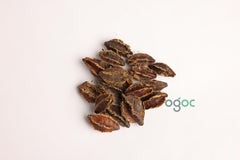 Terminalia Arjuna Tree Seeds - Sacred Arjuna Seeds for Ayurvedic Gardens & Herbal Medicine | OGOC