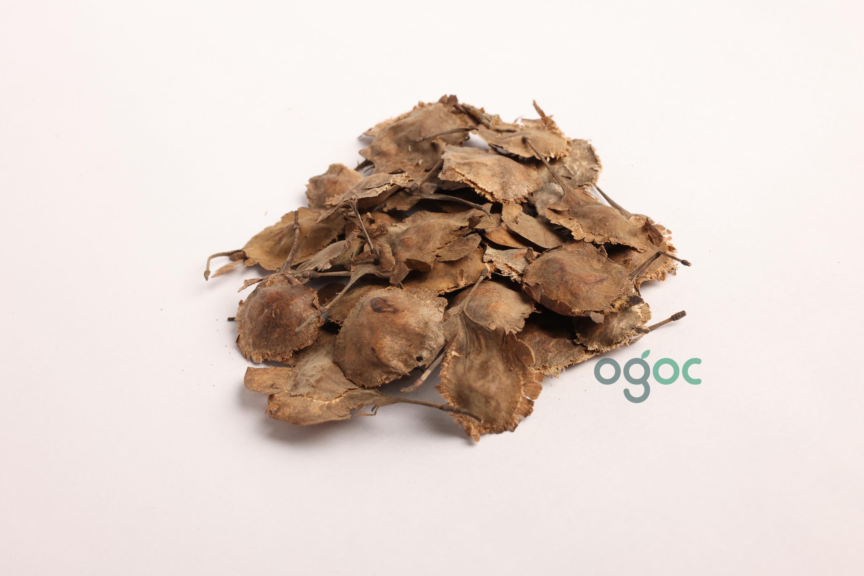 Pterocarpus Santalinus Tree Seeds - Red Sandalwood Seeds for Aromatic Gardens & Woodworking| OGOC