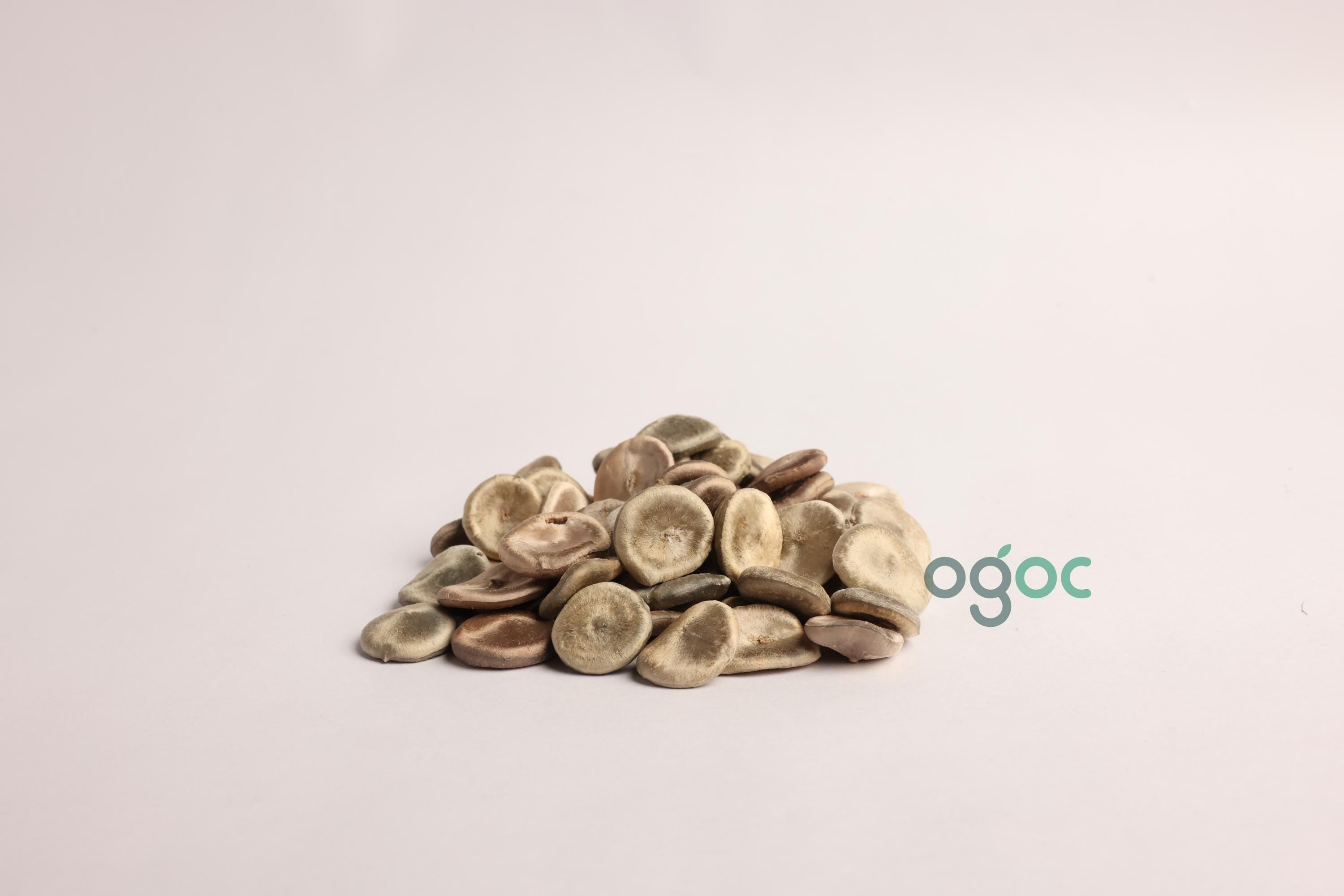 Strychnos Nux-Vomica Tree Seeds - Poison Nut Seeds for Botanical Collections & Herbal Medicine| OGOC