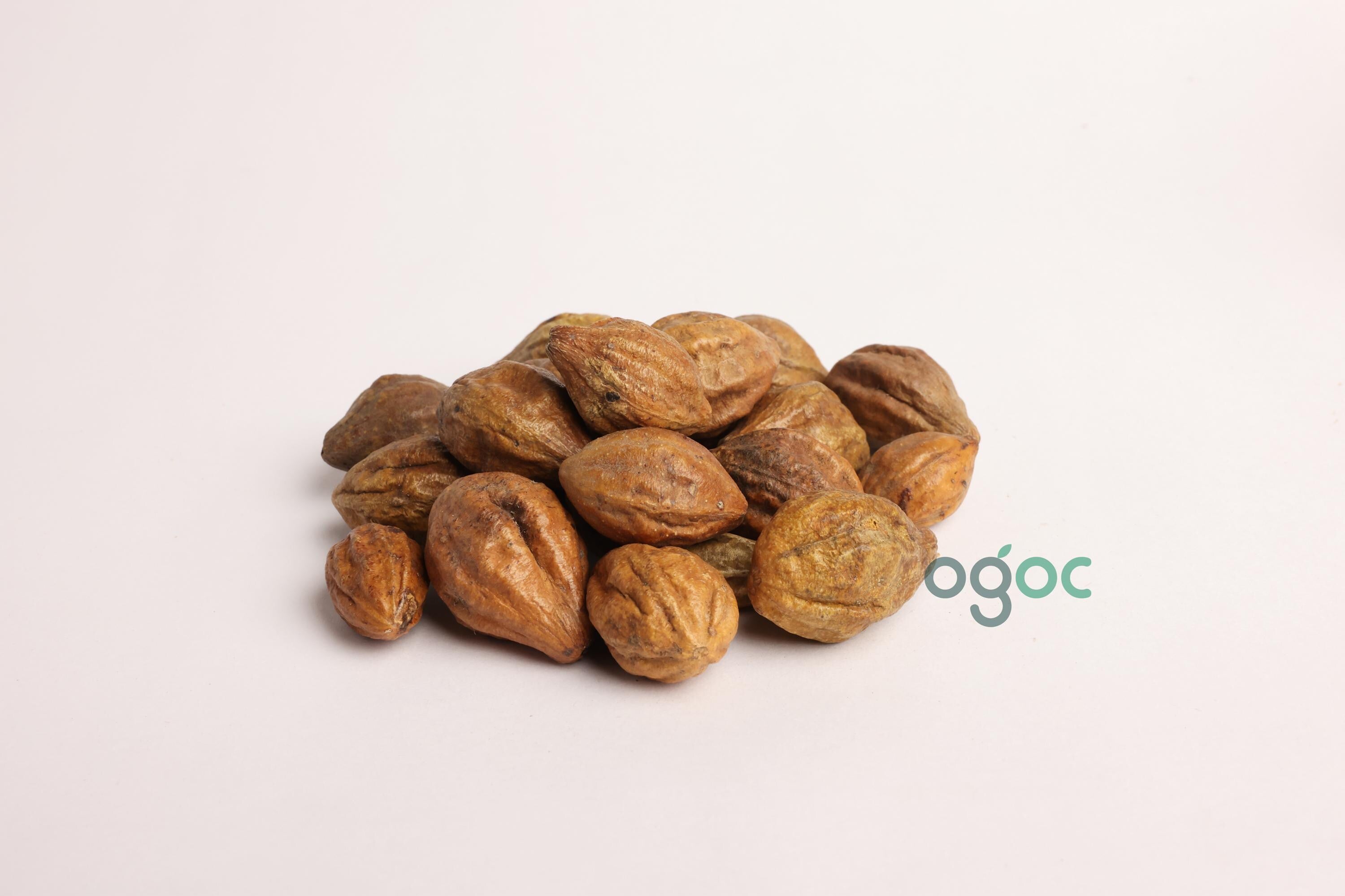 Terminalia Chebula Tree Seeds - Haritaki Seeds for Ayurvedic Gardens & Holistic Wellness| OGOC