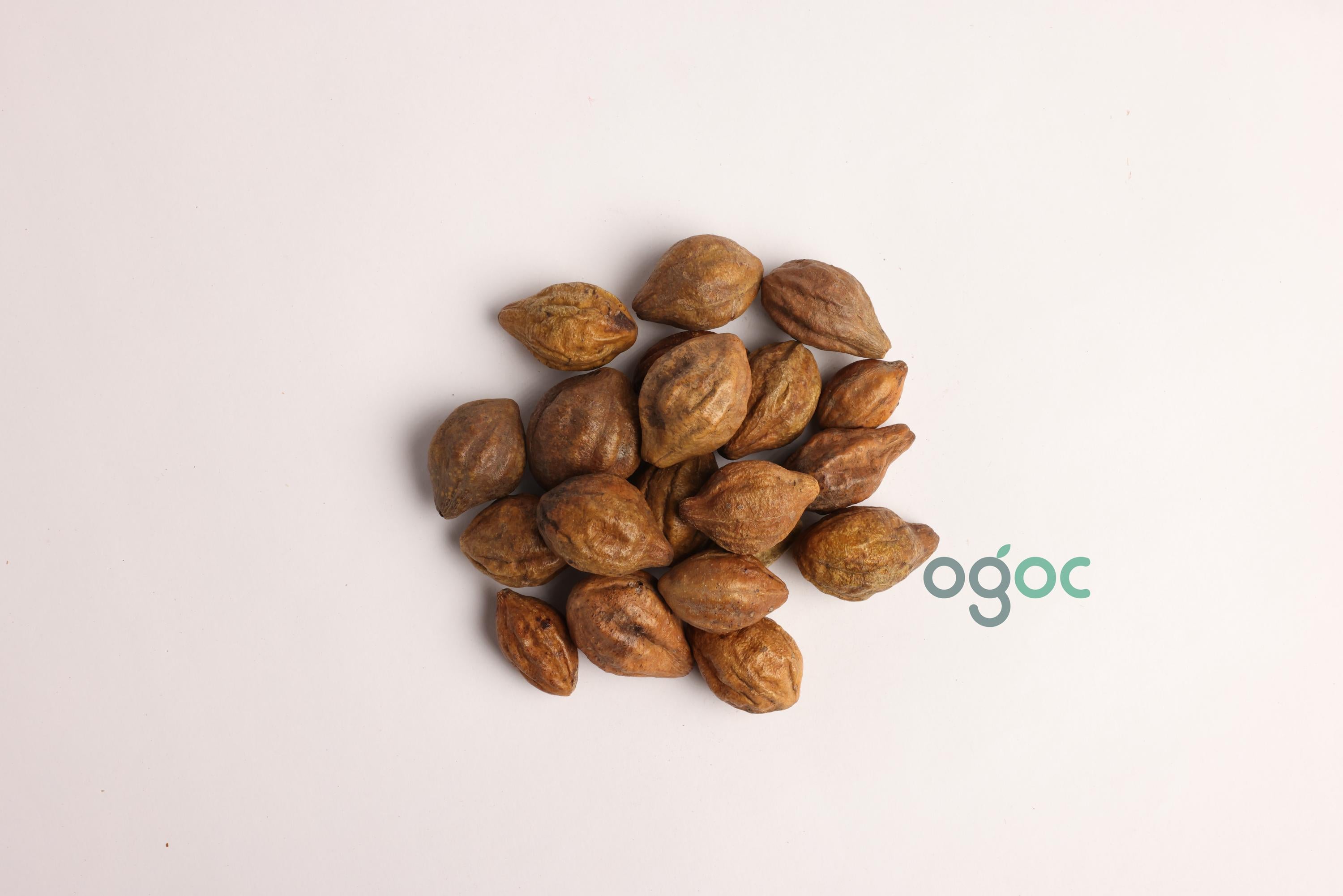 Terminalia Chebula Tree Seeds - Haritaki Seeds for Ayurvedic Gardens & Holistic Wellness| OGOC