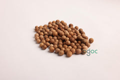 Santalum Album Tree Seeds - Sandalwood Seeds for Fragrant Gardens & Woodcraft| OGOC