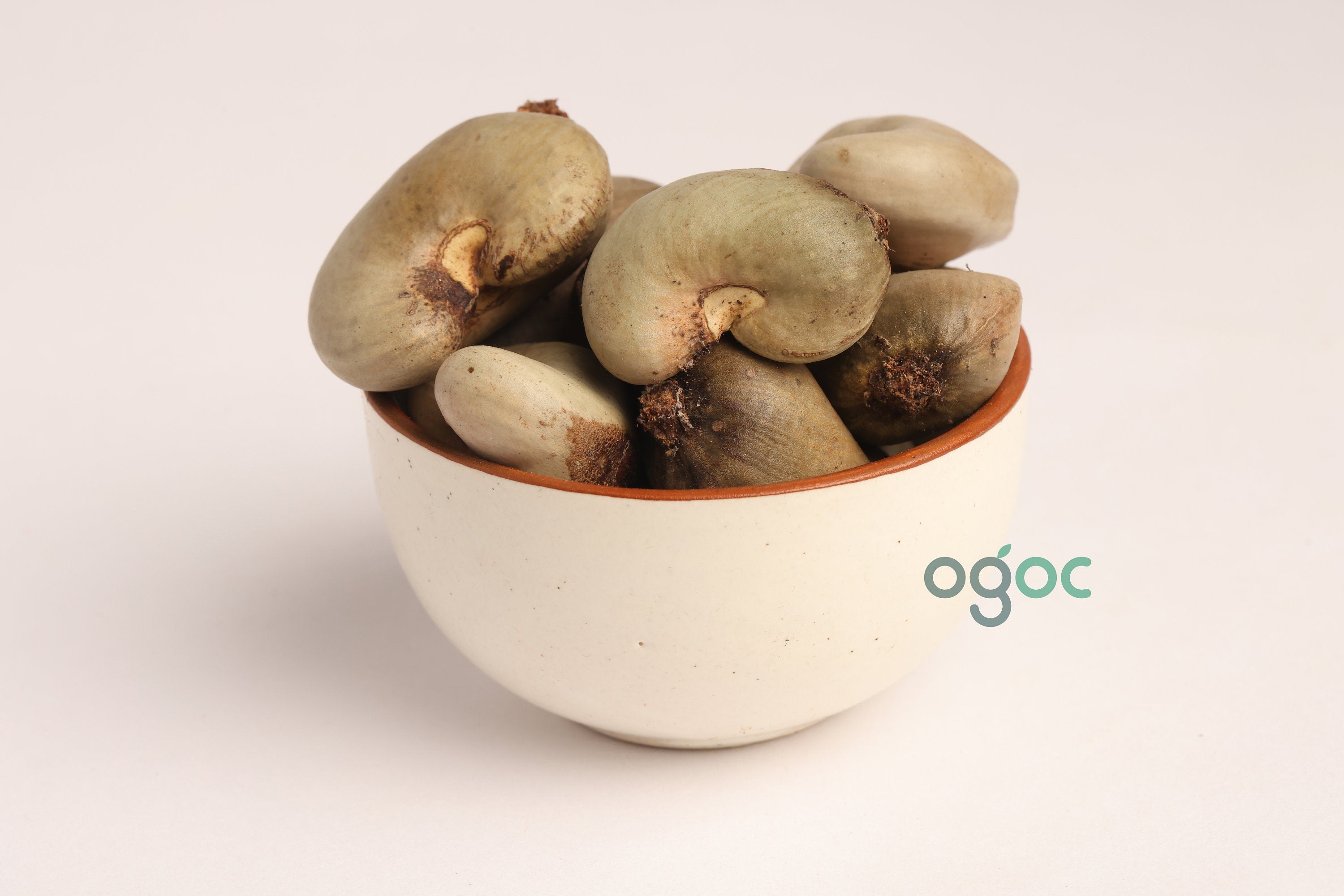 Premium Handpicked Organic Cashew Nut Seeds - Anacardium Occidentale, Kaju, Fresh Fruit Seeds for Kitchen Planting in Kerala| OGOC