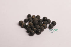 Shatavari seeds - Asparagus racemosus, Herbal Seeds, Vegetable Seeds, kitchen planation| OGOC