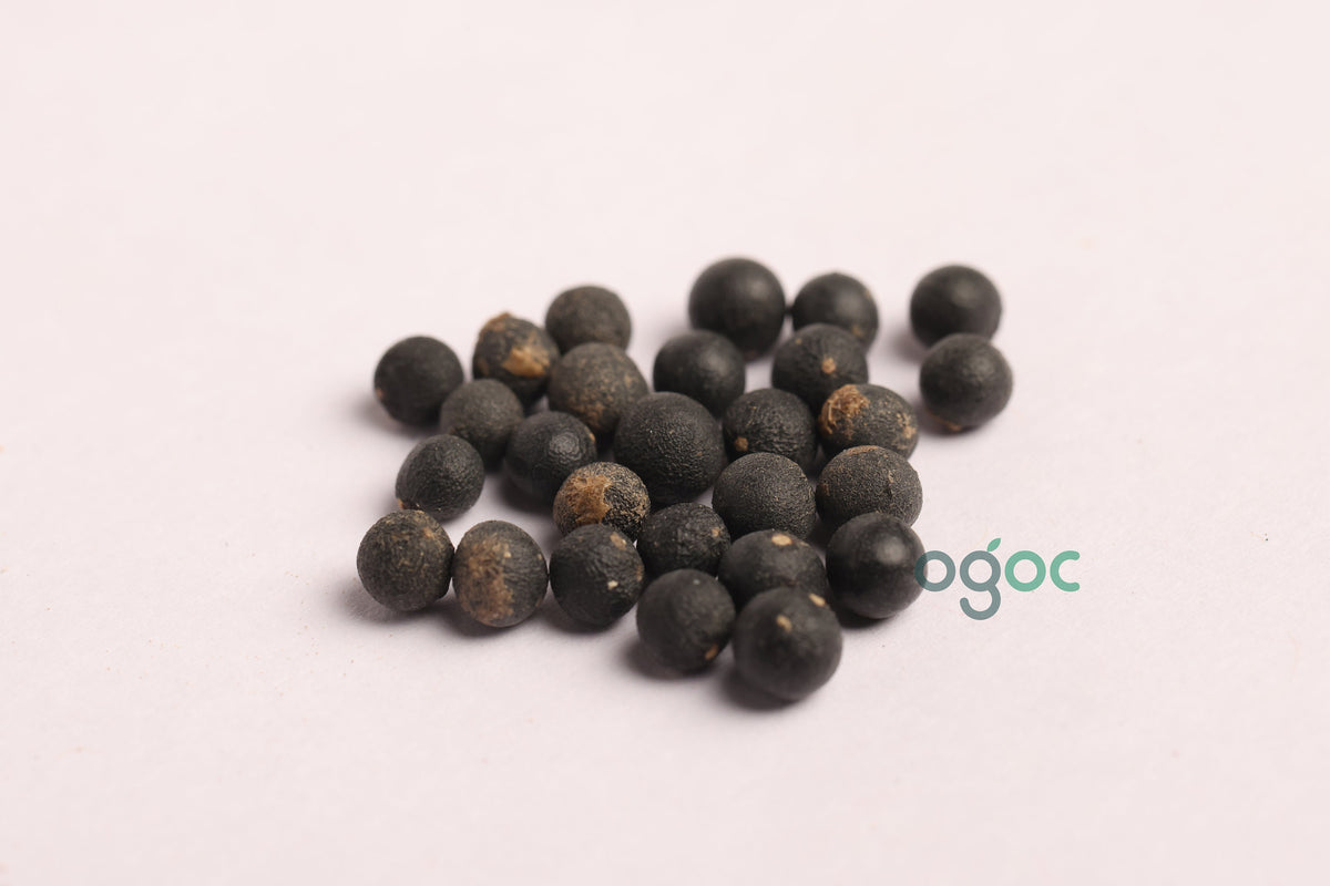 Shatavari seeds - Asparagus racemosus, Herbal Seeds, Vegetable Seeds, kitchen planation| OGOC