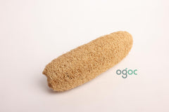 Set off 5 Large Whole Loofah Sponge Natural Grown Loofah Sponge- 100% Natural Plant Based| OGOC