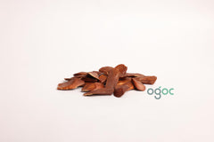 Swietenia Macrophylla Tree Seeds - Genuine Mahogany Seeds for Sustainable Woodworking & Reforestation| OGOC